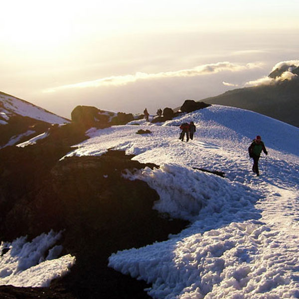 KILI PREPARATIONS