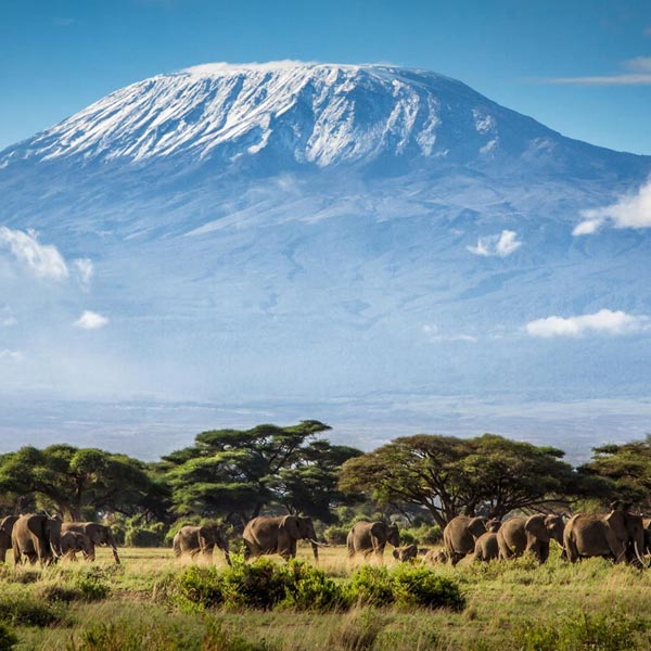 KILIMANJARO WEATHER