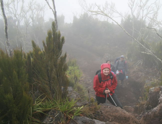 Kilimanjaro Weather